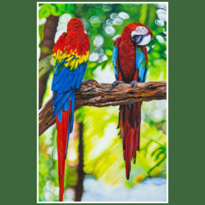 Scarlet Macaws Prints